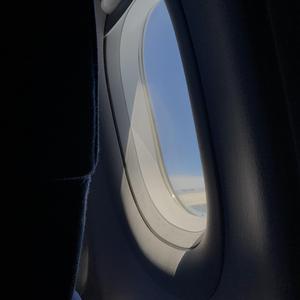 成人网在线观看
